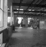 Slakthuset, Valbo. Oktober 1937





