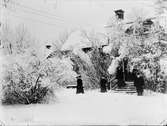 Borgmästare Johan Wahlund med personal i trädgården, Östhammar, Uppland före 1919