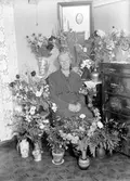 Fru Ljunggren, Fjällbacken, 60 år. Foto 1946.
