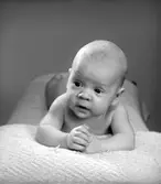 Barnet Öhlander. Foto i januari 1950.
(Fru Lisa Öhlander)


