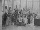 Grupporträtt på kvinnor och en pojke, på glasveranda .