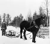En man, med hästsläde med timmer.