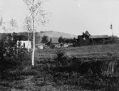 En gård.