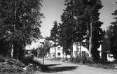 Barrsätragatan i Sandviken, 1938.