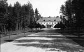 Allén till disponentvilla i Sandviken. Foto 1937.