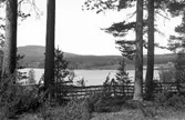 Vy av Bässesjön, Enånger.