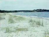 Gnarpsbaden, Hälsingland

