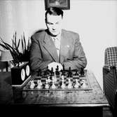 Olle Carlberg spelar schack,
15 oktober 1955.