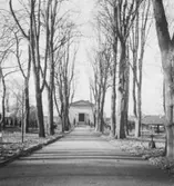 Beställare: Stadsekreterare Lindgren, Landskansliet. Krematoriet.