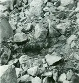 Röse i Kristdala under utgrävning.