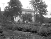 Hus med trädgården
