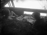 Två män på höskulle läser tidning, Dalarna