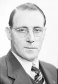 Ernst Videnström




