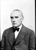 Konsul Hanngren.