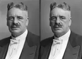 Musikfanjunkare Anton Thorselius
