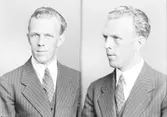 P. Pettersson