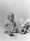 Råbergers flicka
