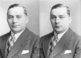 Harald Berglund