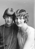 Fröknarna Höijer


