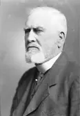 Kommisarie C. C. Jernberg

