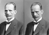 V. L. Johansson

