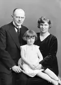 Familjen Eriksson


