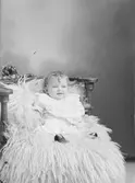 Berglunds Linnéa