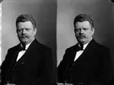 Krokström J. W.