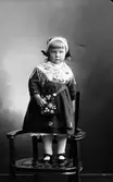 Anderssons Gunborg
