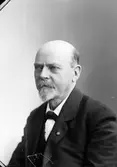 Alexis Björkman