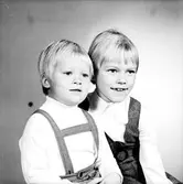 Frank, Sofiagatan 19 B, Gävle. Den 7 december 1968