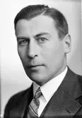 Konsulent Larsson