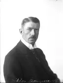 V. Bergman