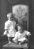 Syskonen Elvin
