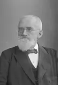 Herr Noreé