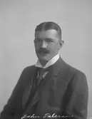 John Peterson, Hofors