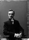 Berggren, Borgmästare. Den 9 februari 1902