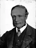 Faktor F. Pettersson, Wiberg