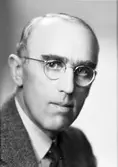 Helmer Sundstedt