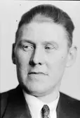 Herr Pettersson