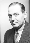Herr Lundin


