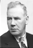 Gunnar Hansson


