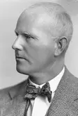 H. J. Mattsson
