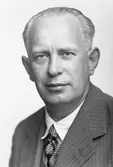 Artur Bergmark
