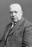 G. A. Larsson