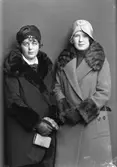 Brunander och Serrander


