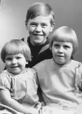 Syskonen Johansson
