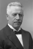 Andersson

