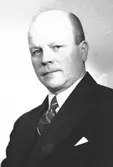 H. Eriksson

