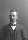 P. A. Olsson





